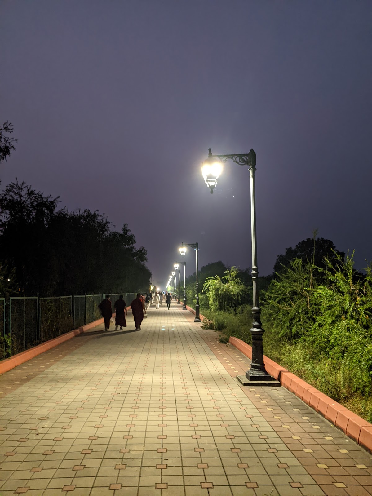 Lumbini's Sacred Pond