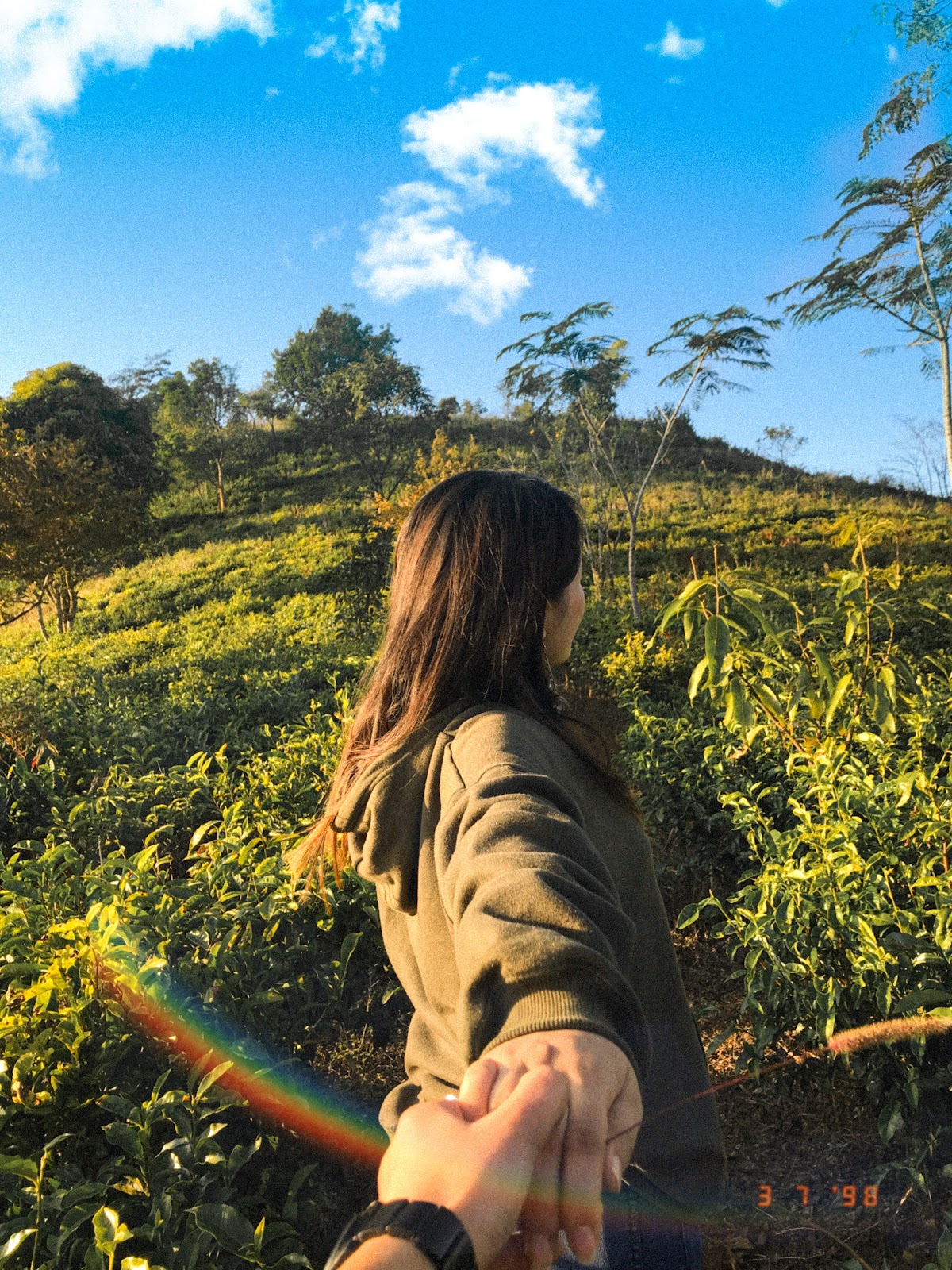 Tea Gardens of Lunglei