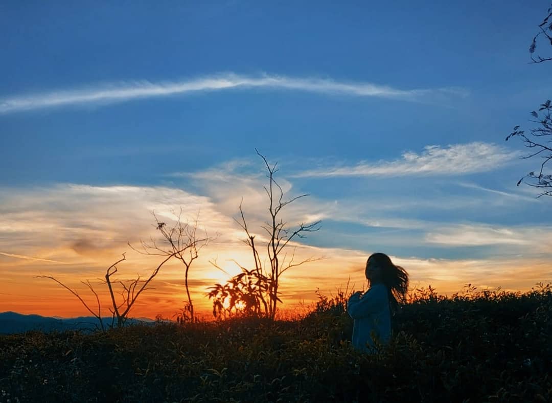 Tea Gardens of Lunglei