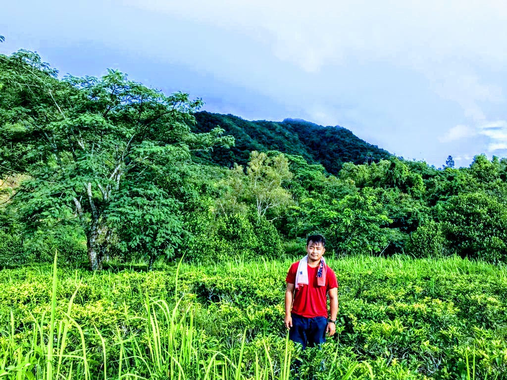 Tea Gardens of Lunglei