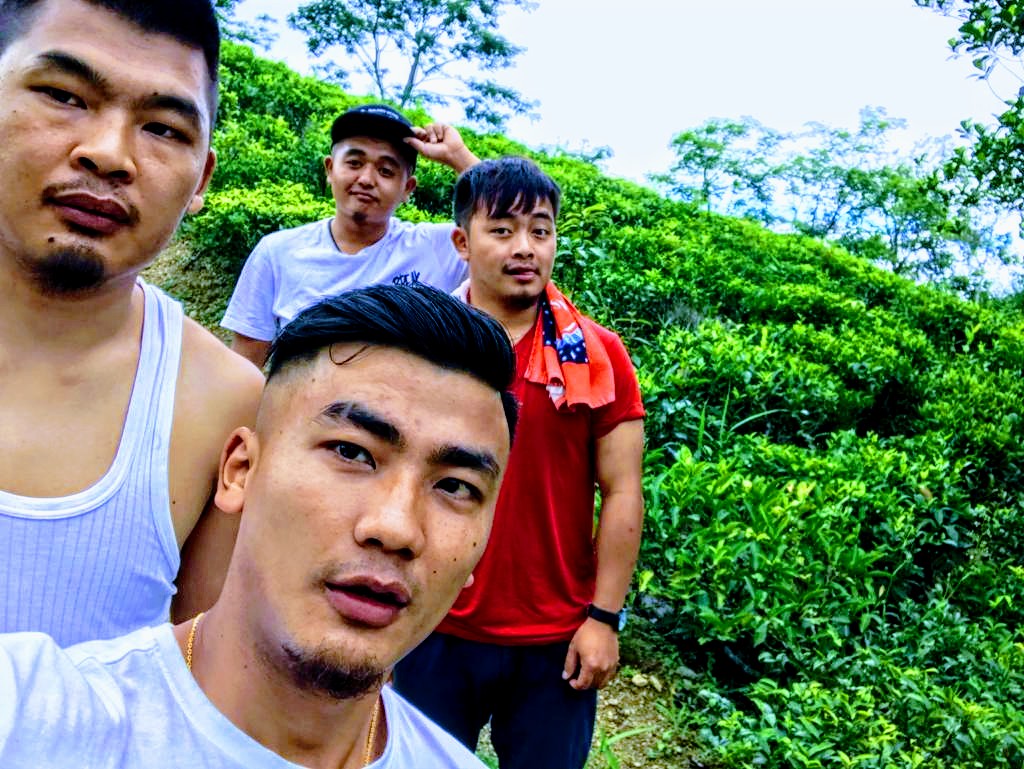 Tea Gardens of Lunglei