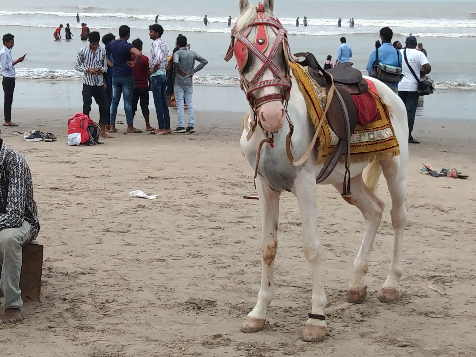 Local Cultural Festival