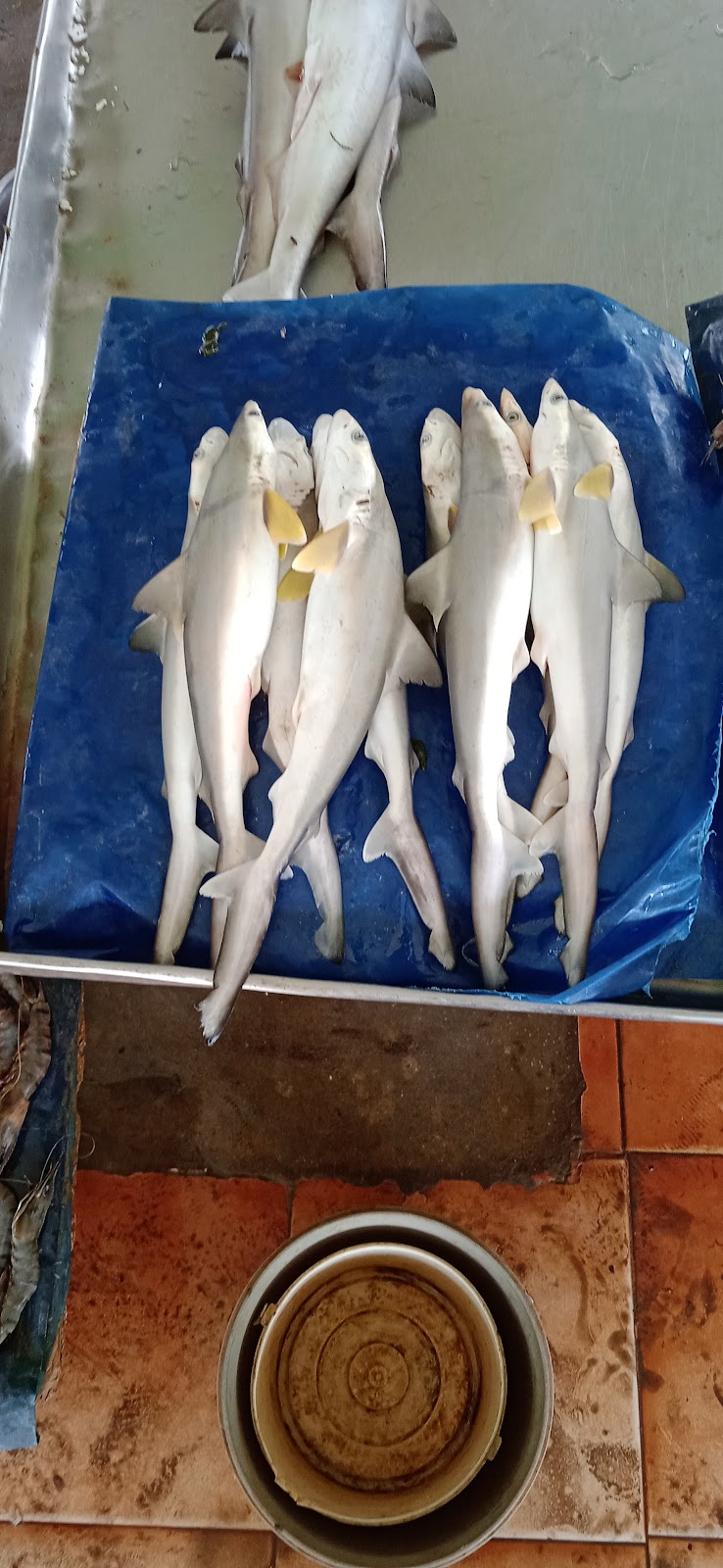 Local Handicraft Market