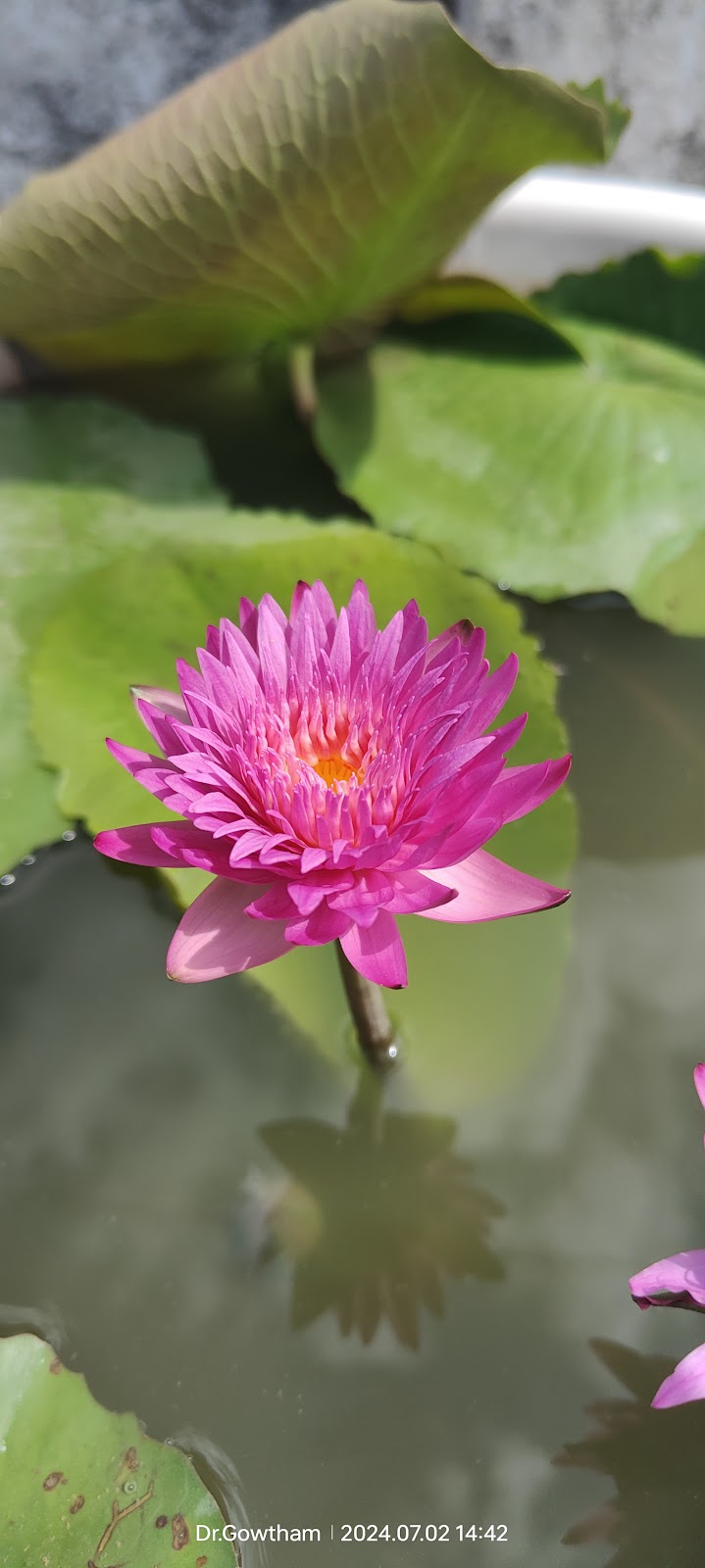 Madanapalle Botanical Garden