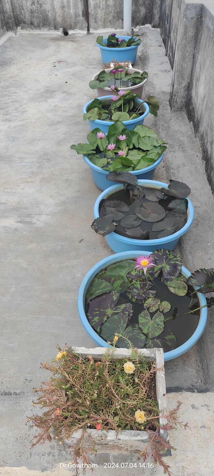 Madanapalle Botanical Garden