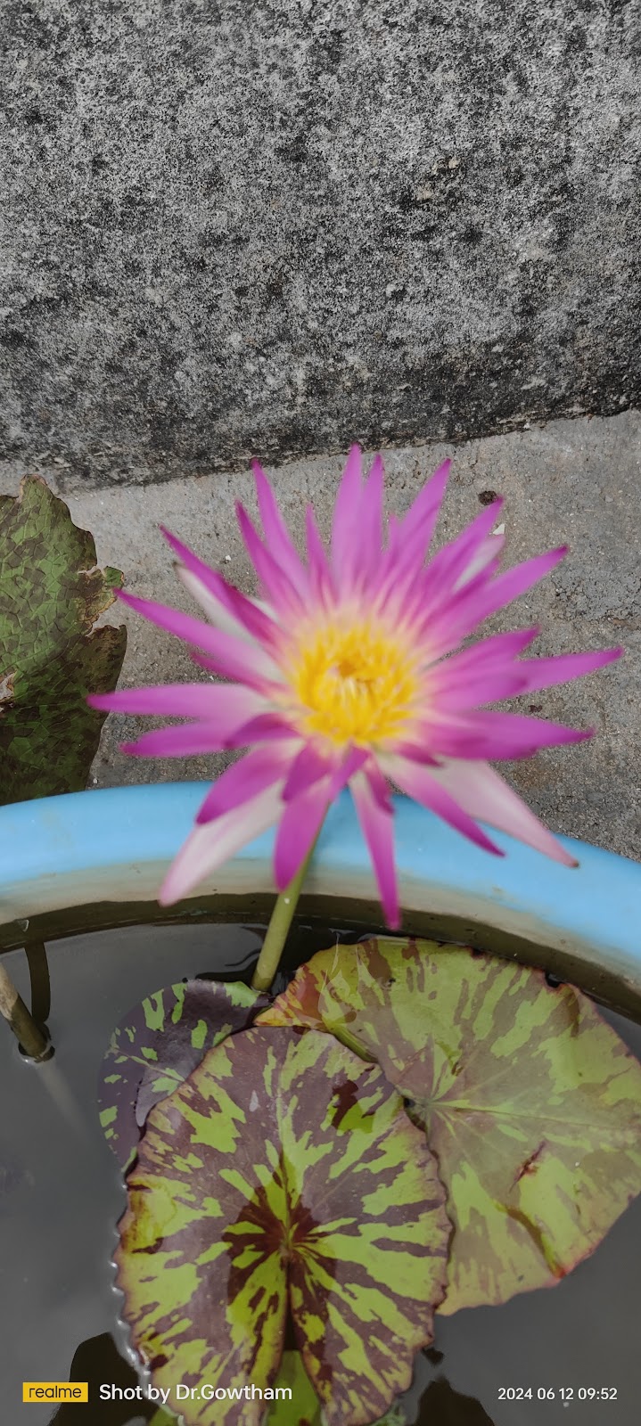 Madanapalle Botanical Garden