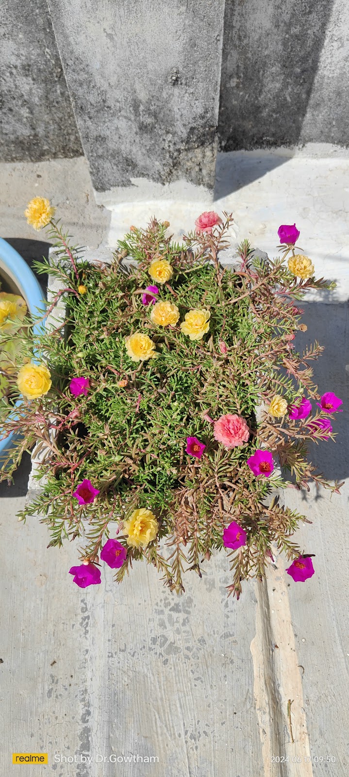 Madanapalle Botanical Garden