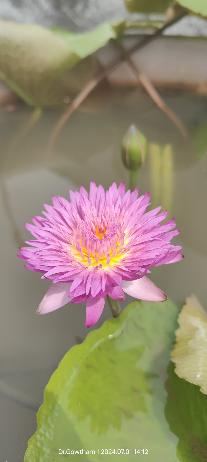 Madanapalle Botanical Garden