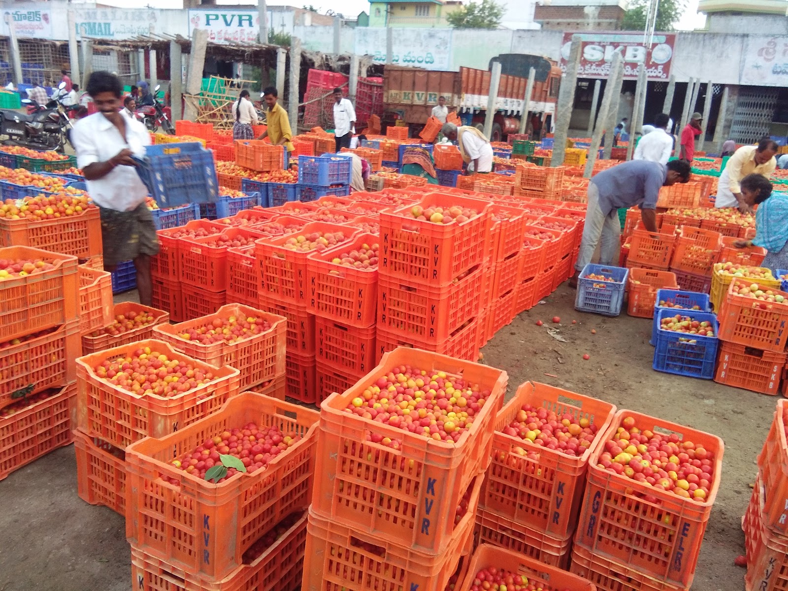 Madanapalle Market