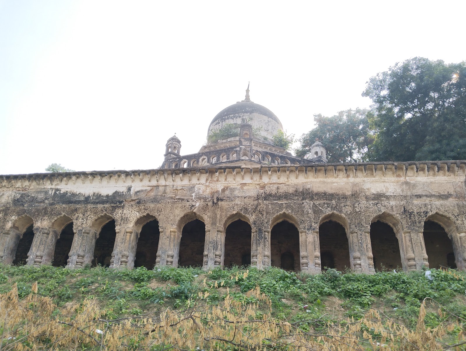 Madhogarh Sanctuary