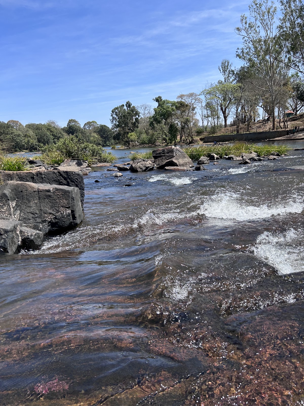 Dubare Elephant Camp