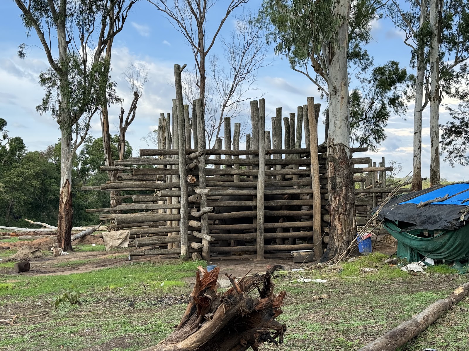 Dubare Elephant Camp