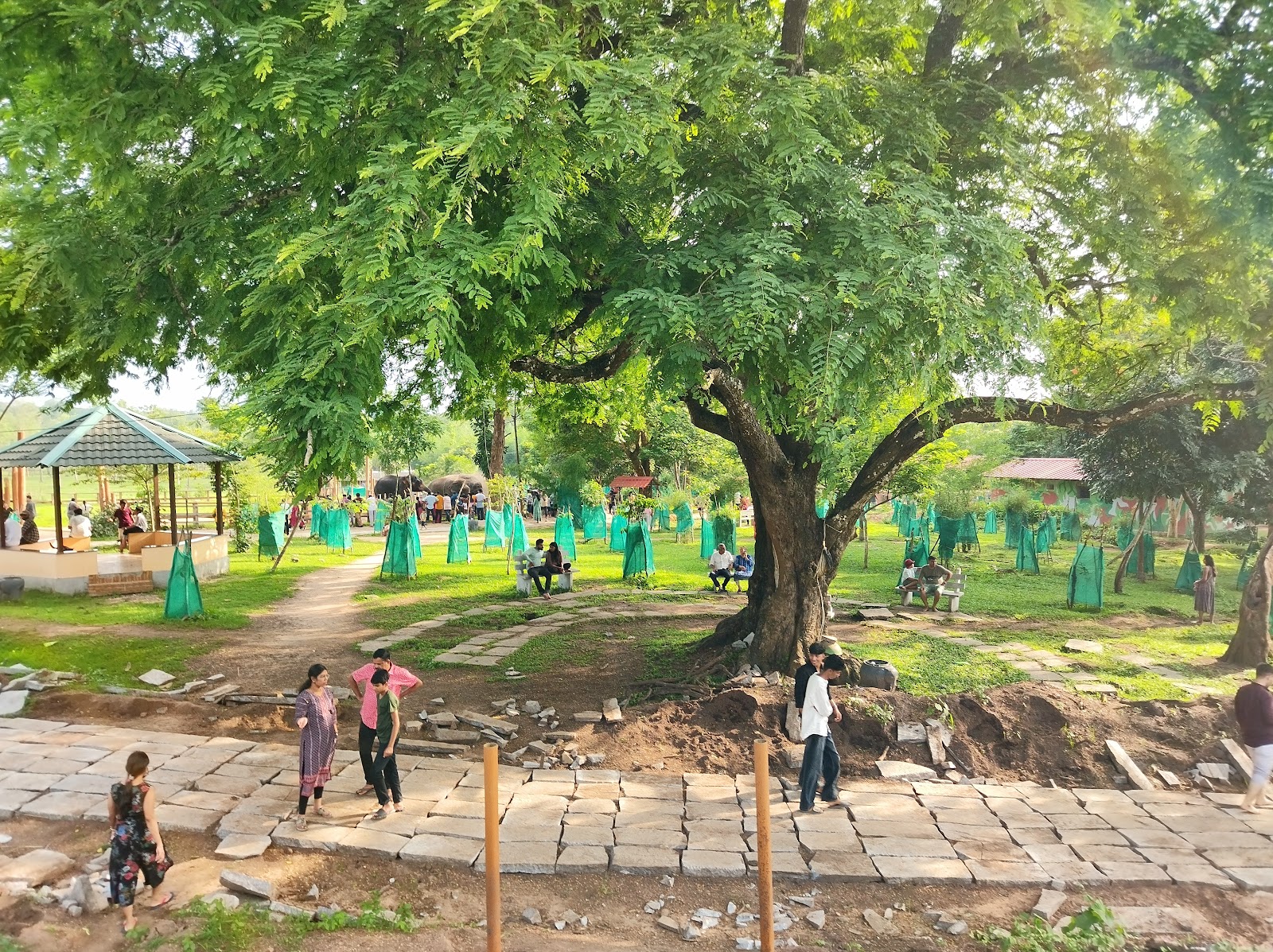 Dubare Elephant Camp