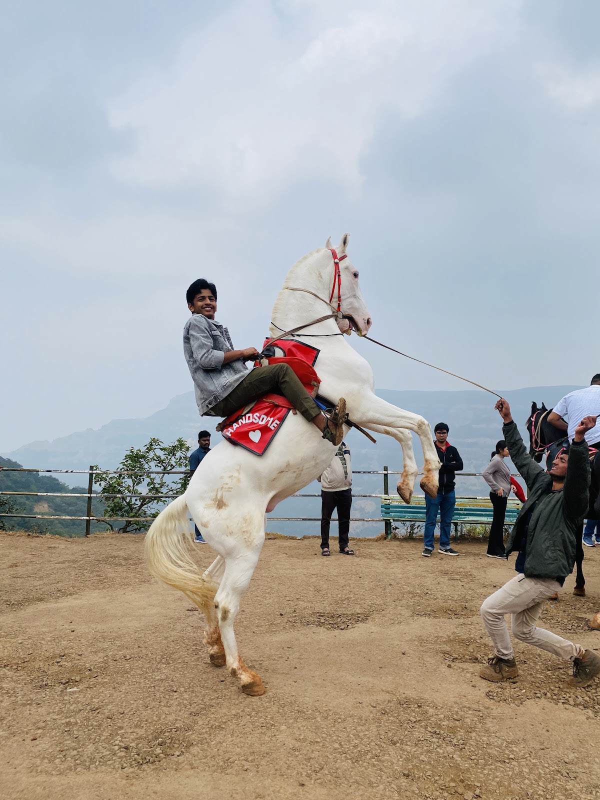 Elephant's Head Point