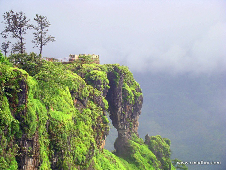 Elephant's Head Point