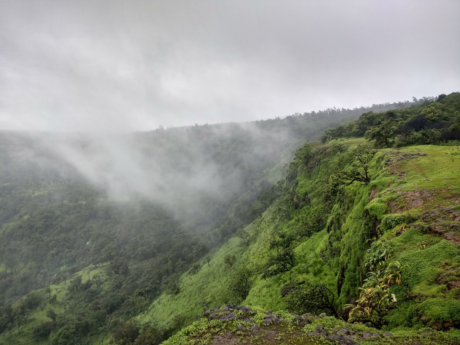 Elephant's Head Point