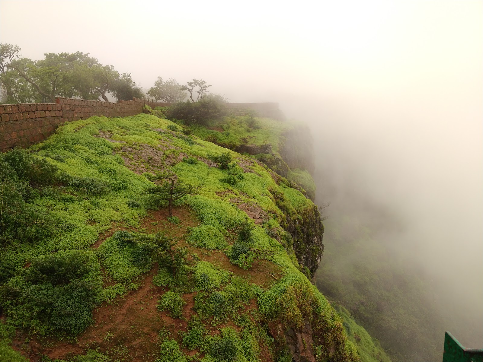 Elephant's Head Point