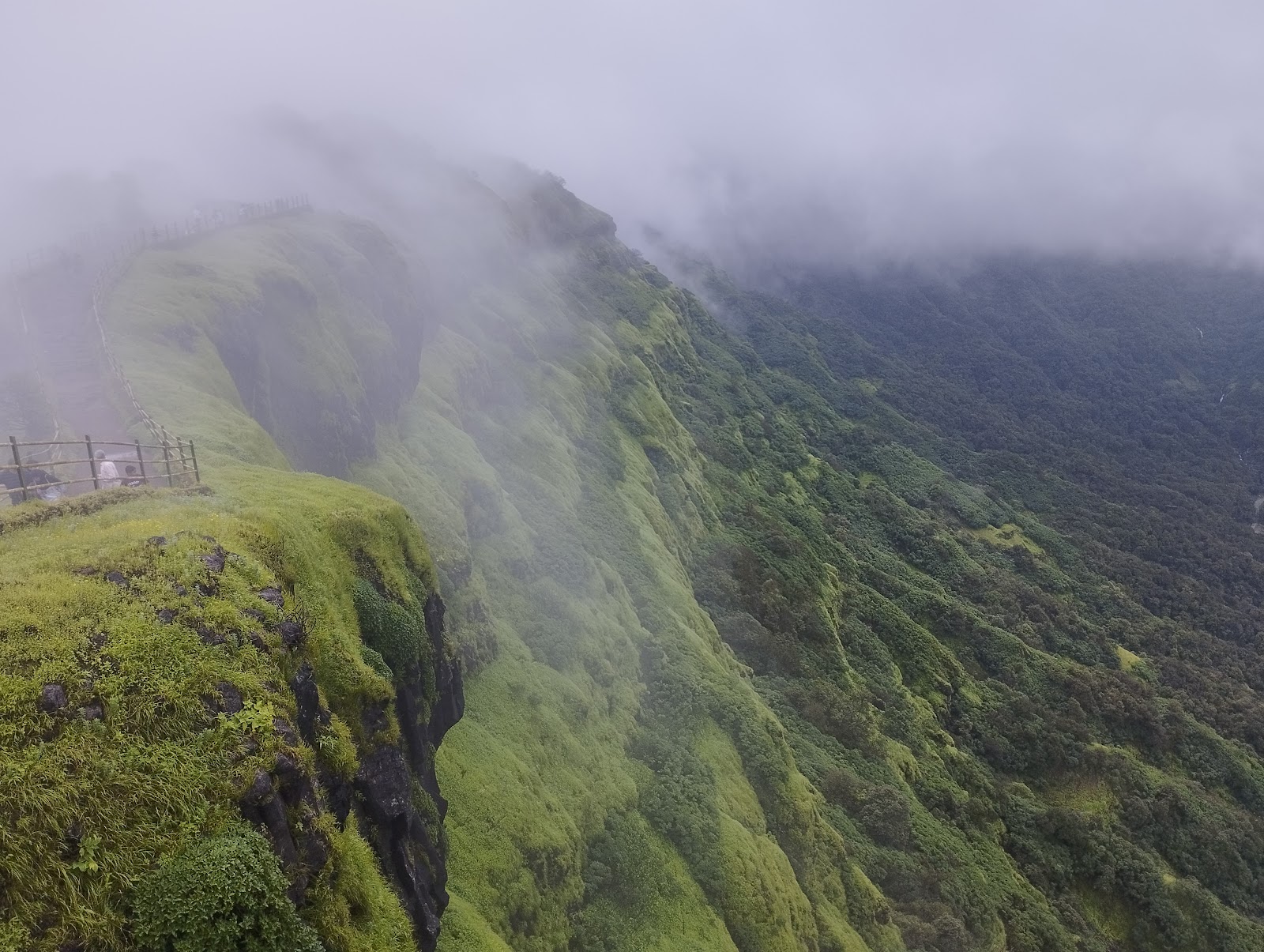 Elephant's Head Point