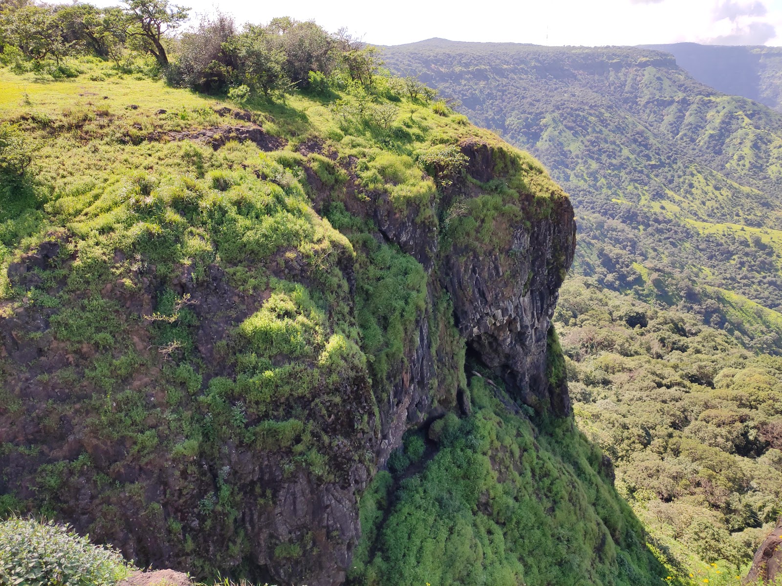 Elephant's Head Point