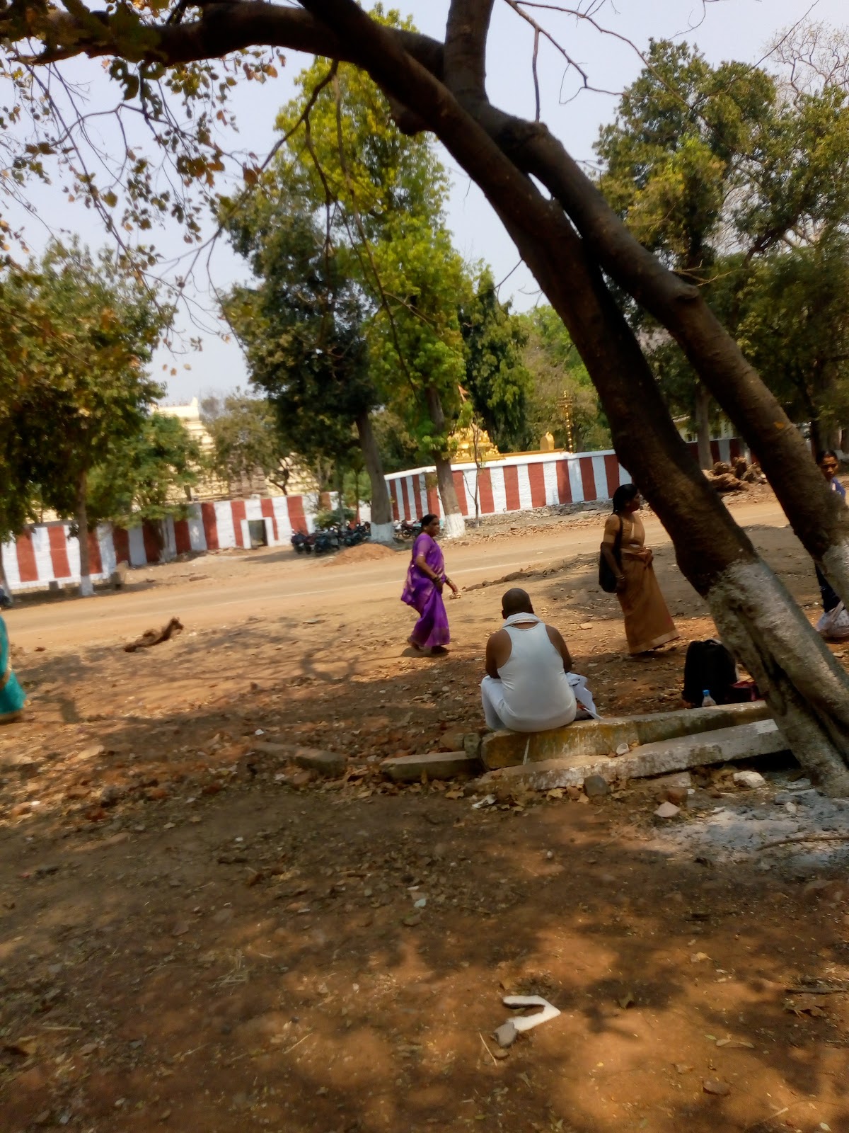 Mahanandi Nature Park