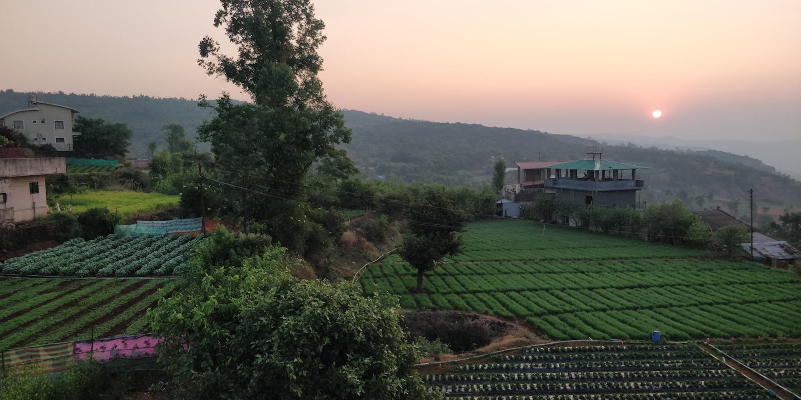 Mahabaleshwar