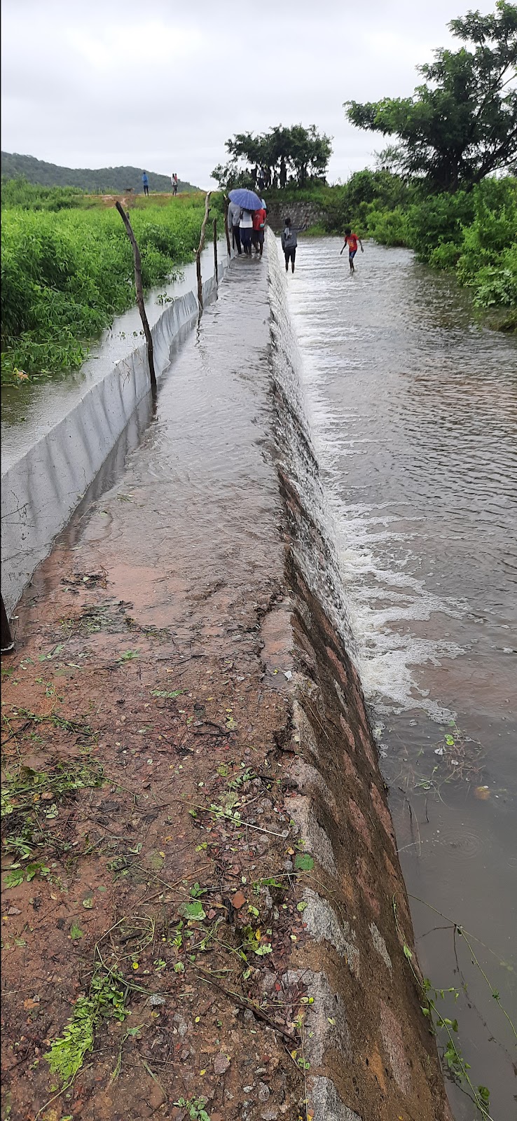 Local Lakes and Birding Spots