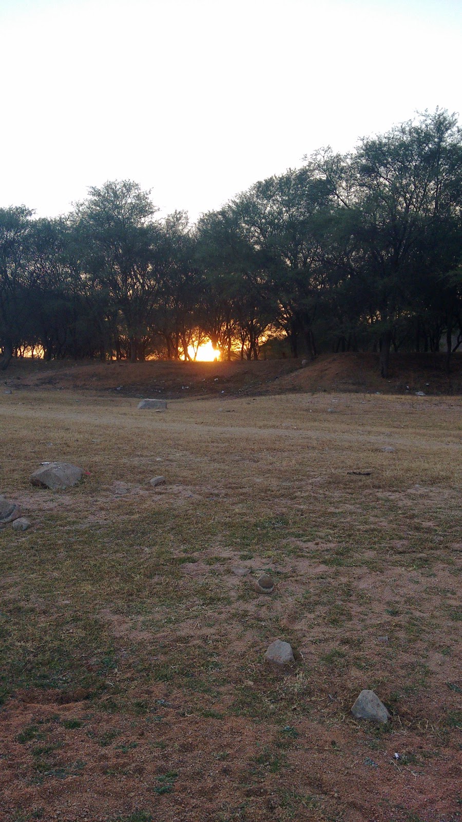 Local Lakes and Birding Spots