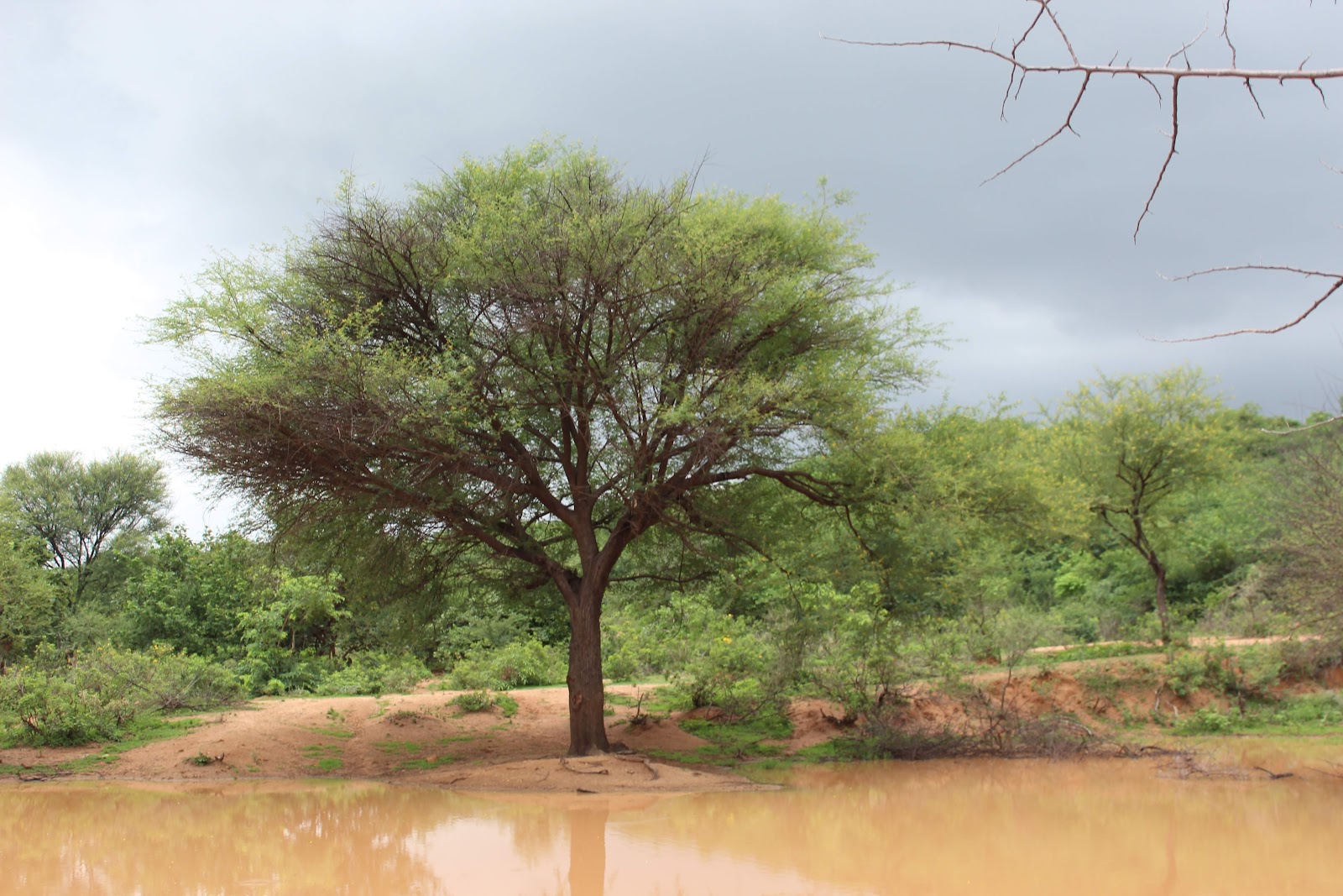 Local Lakes and Birding Spots
