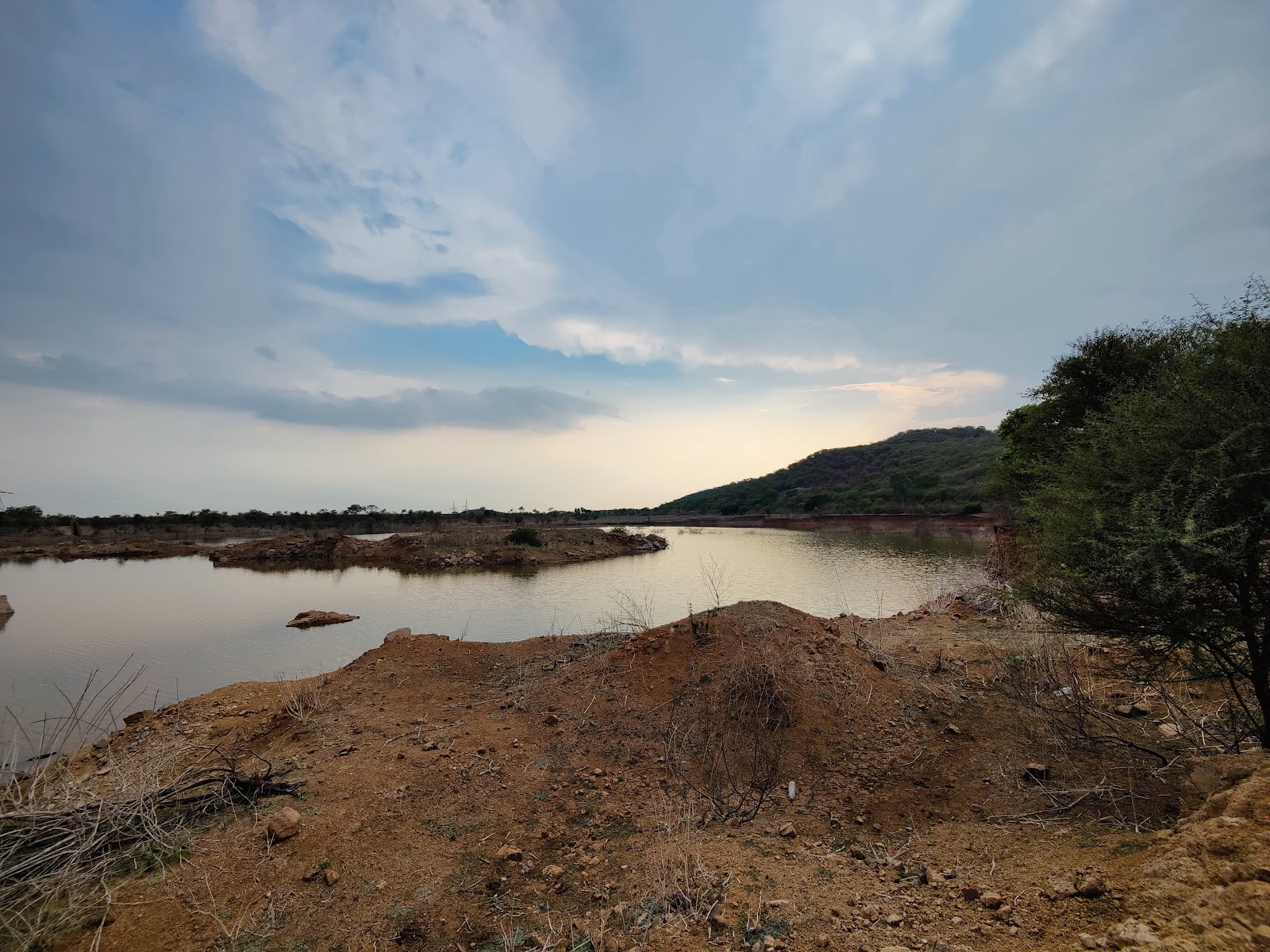 Local Lakes and Birding Spots