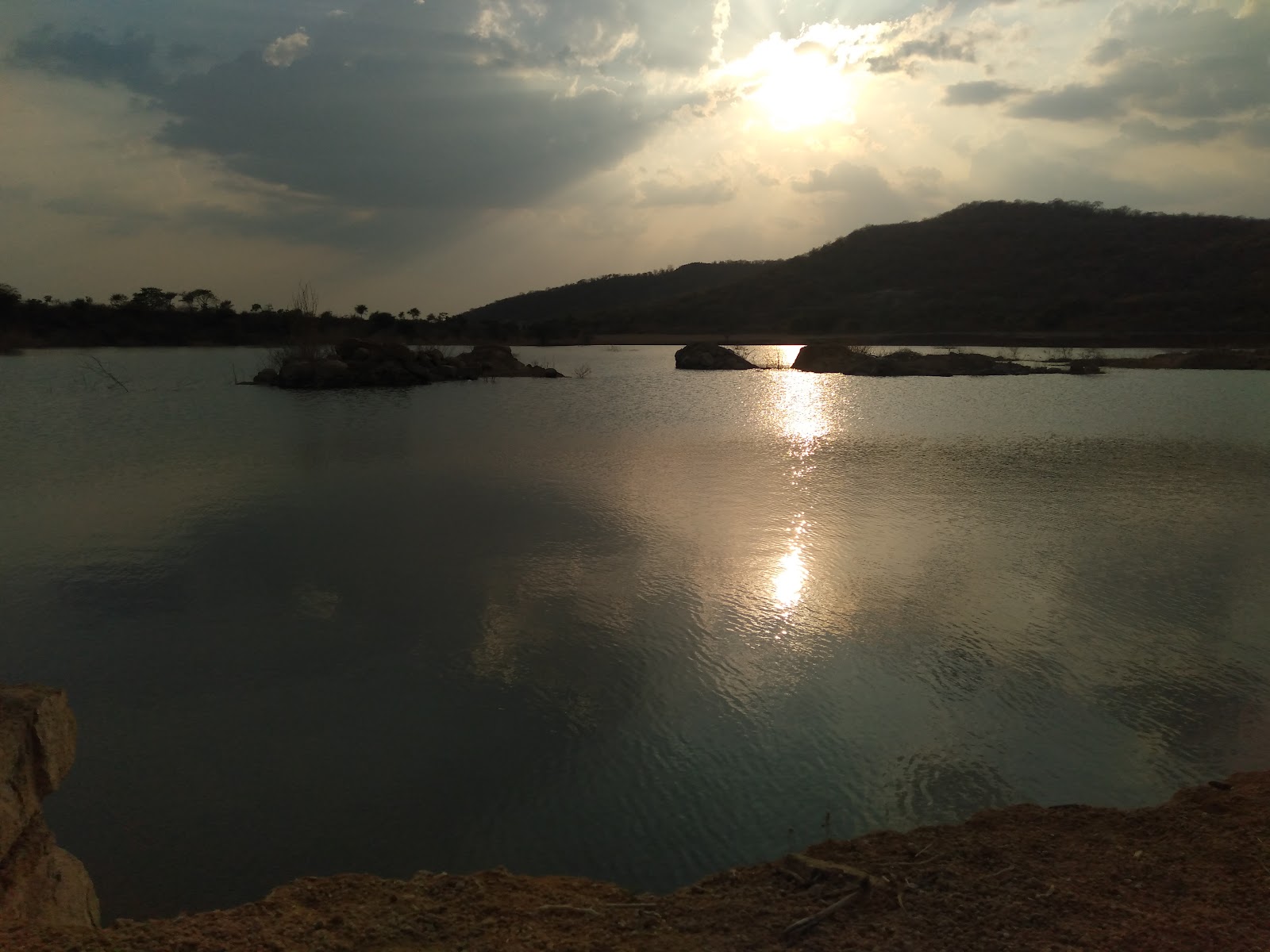 Local Lakes and Birding Spots