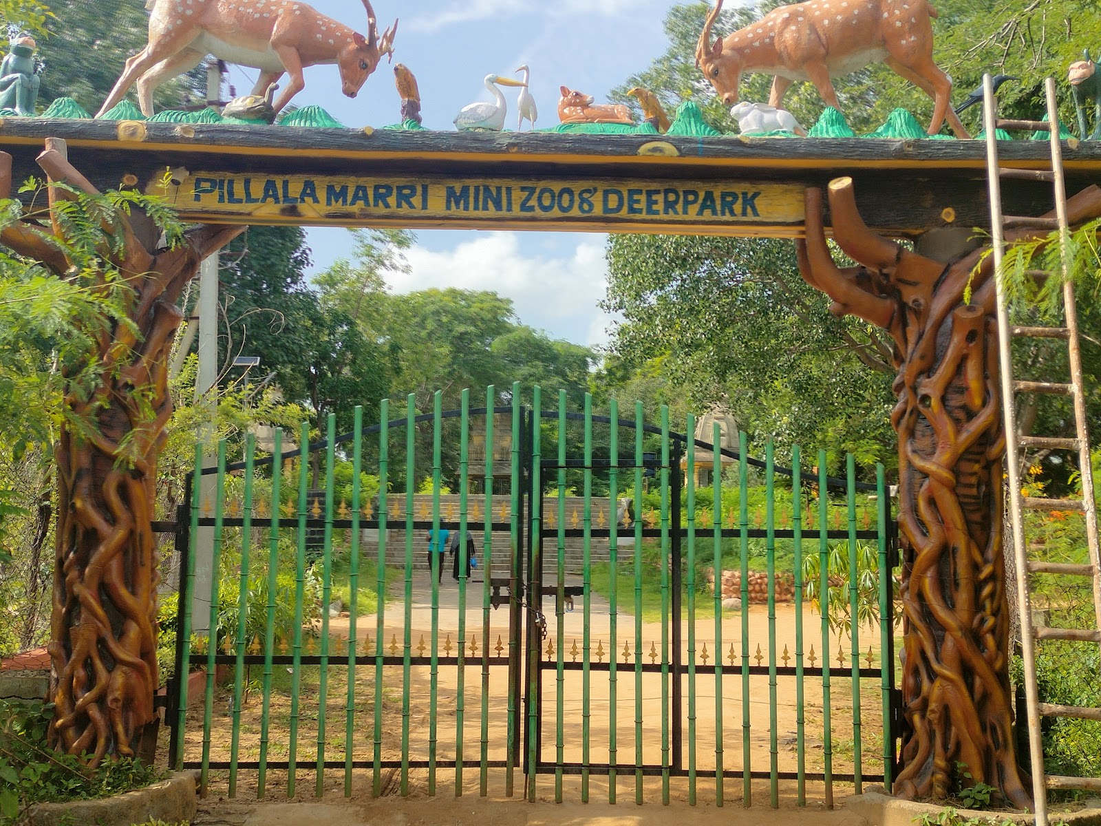 Pillalamarri Ancient Banyan Tree