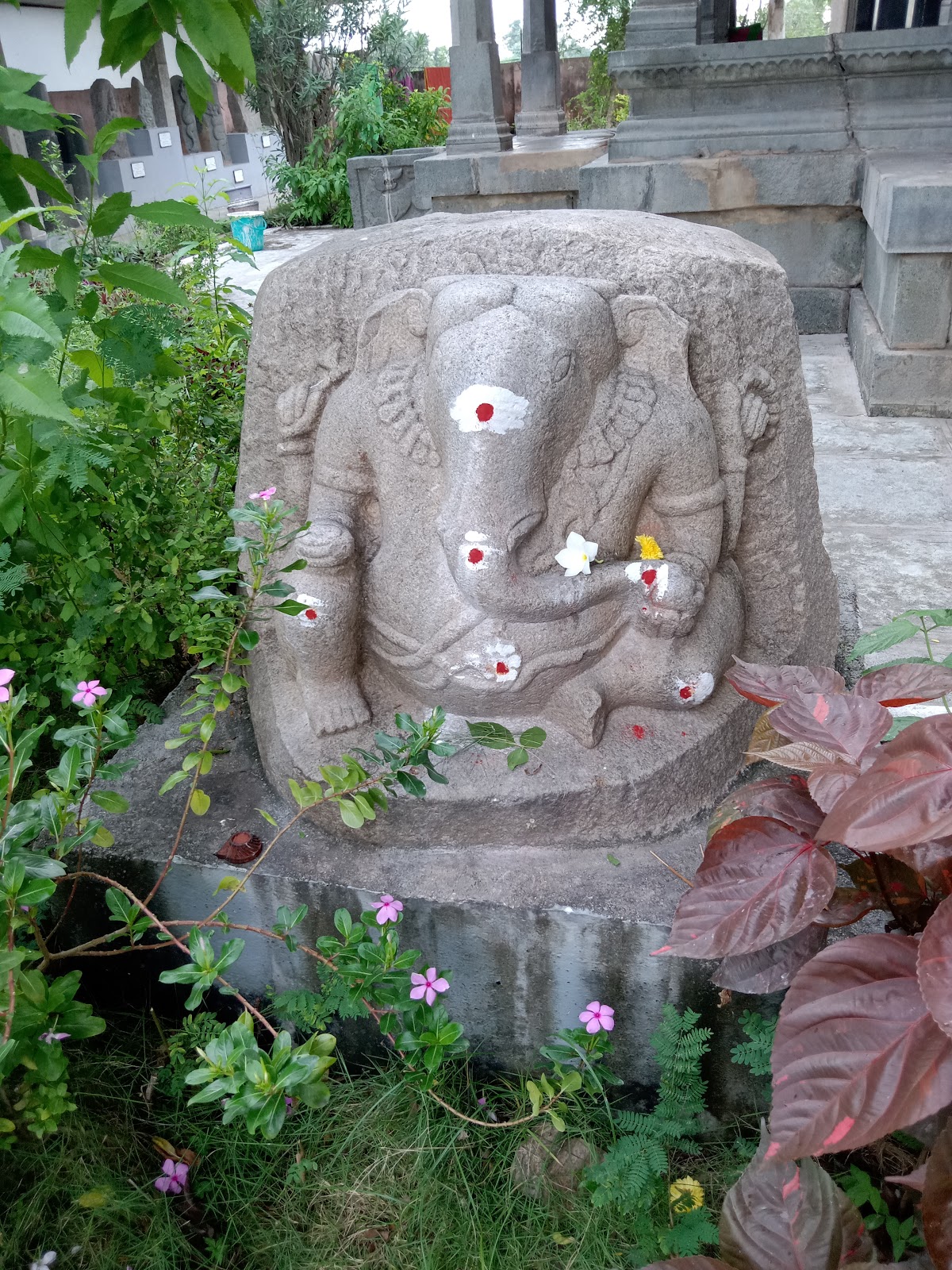 Pillalamarri Ancient Banyan Tree