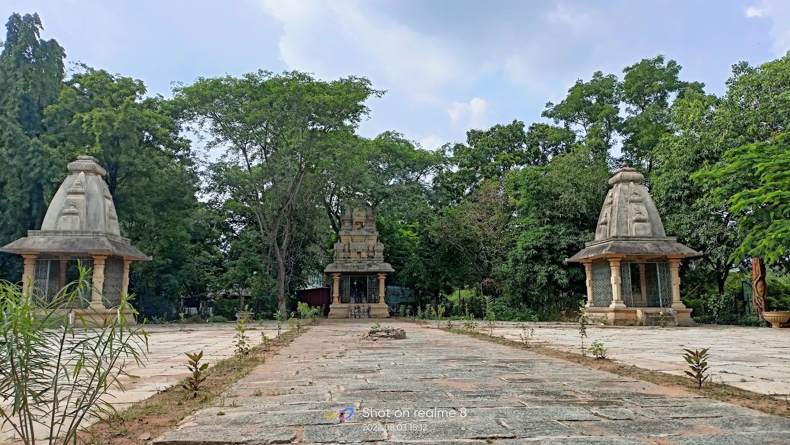 Pillalamarri Ancient Banyan Tree