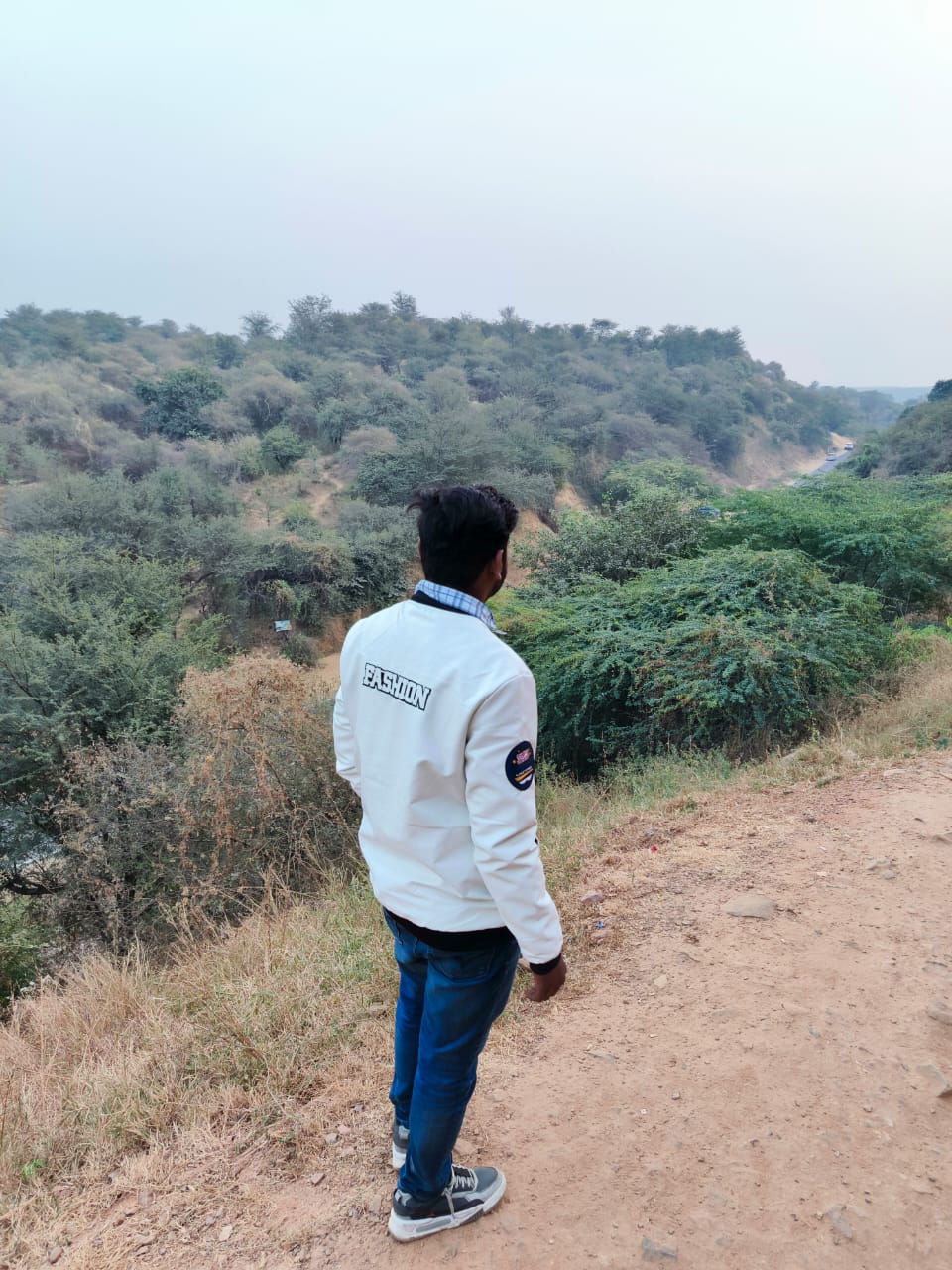 Aravalli Hills