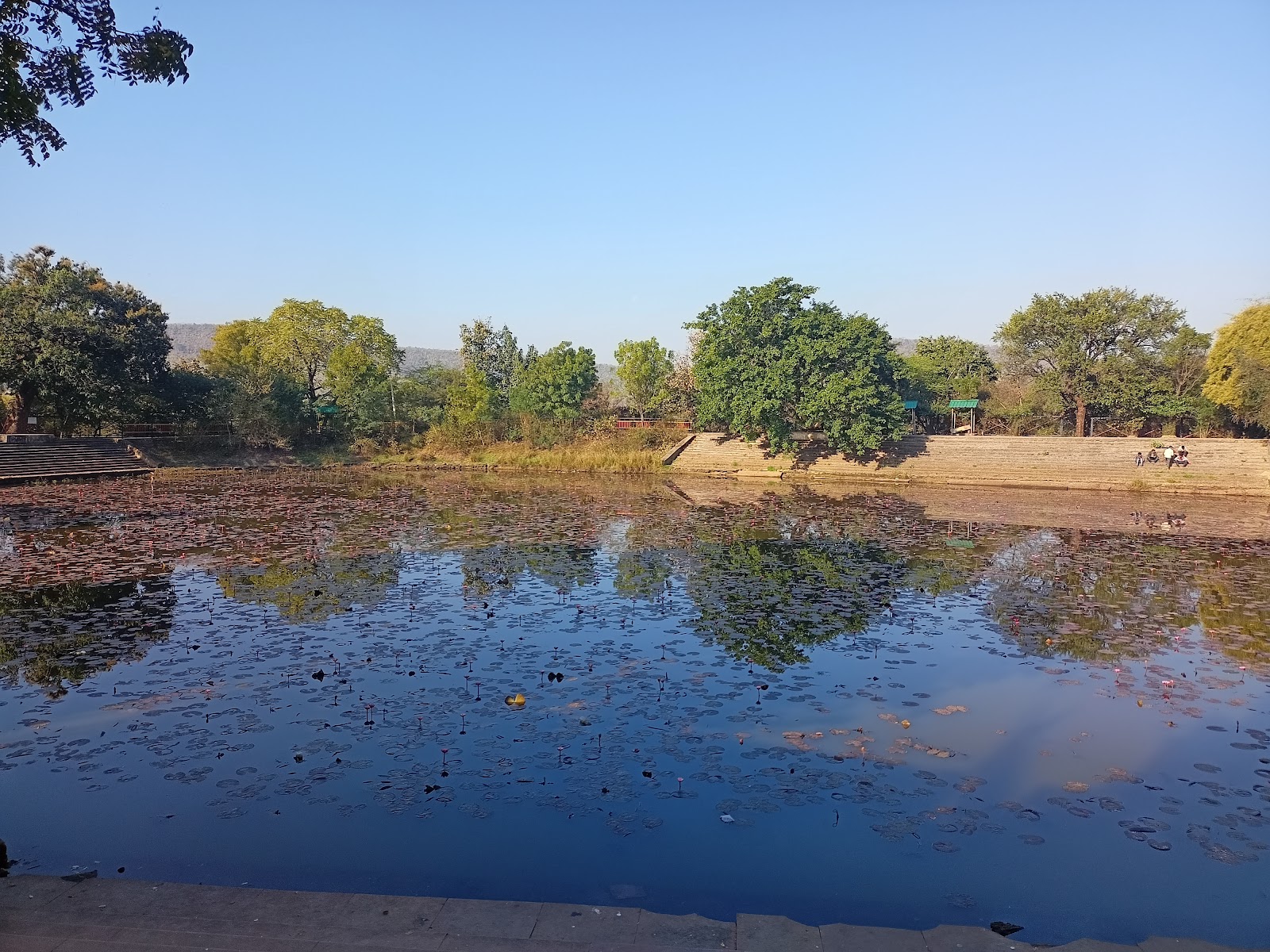 Alha Udal Pond
