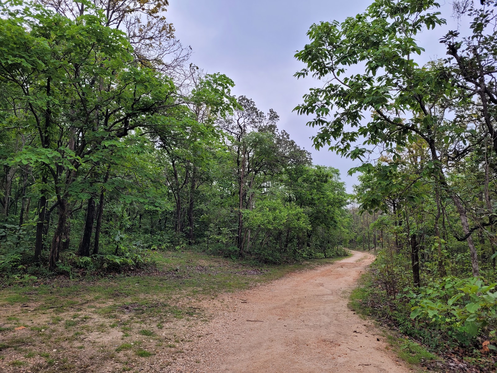 Hazaribagh National Park