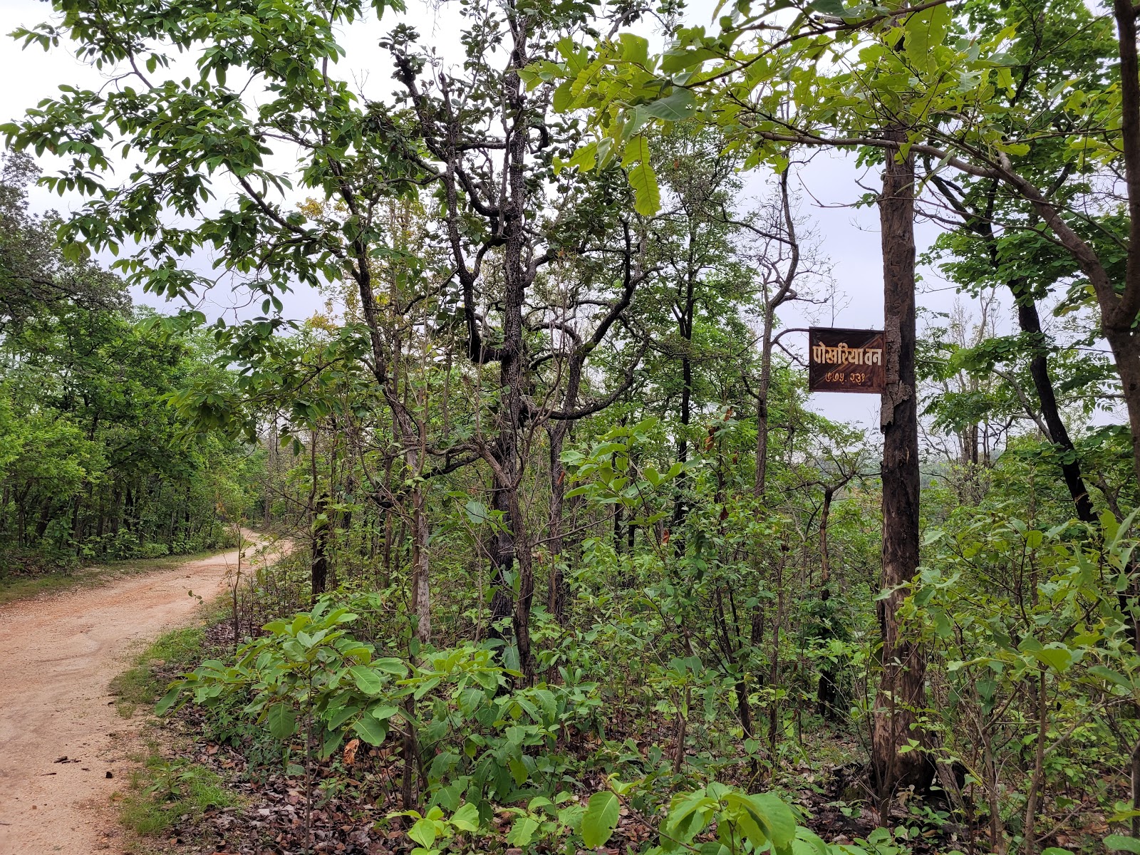 Hazaribagh National Park