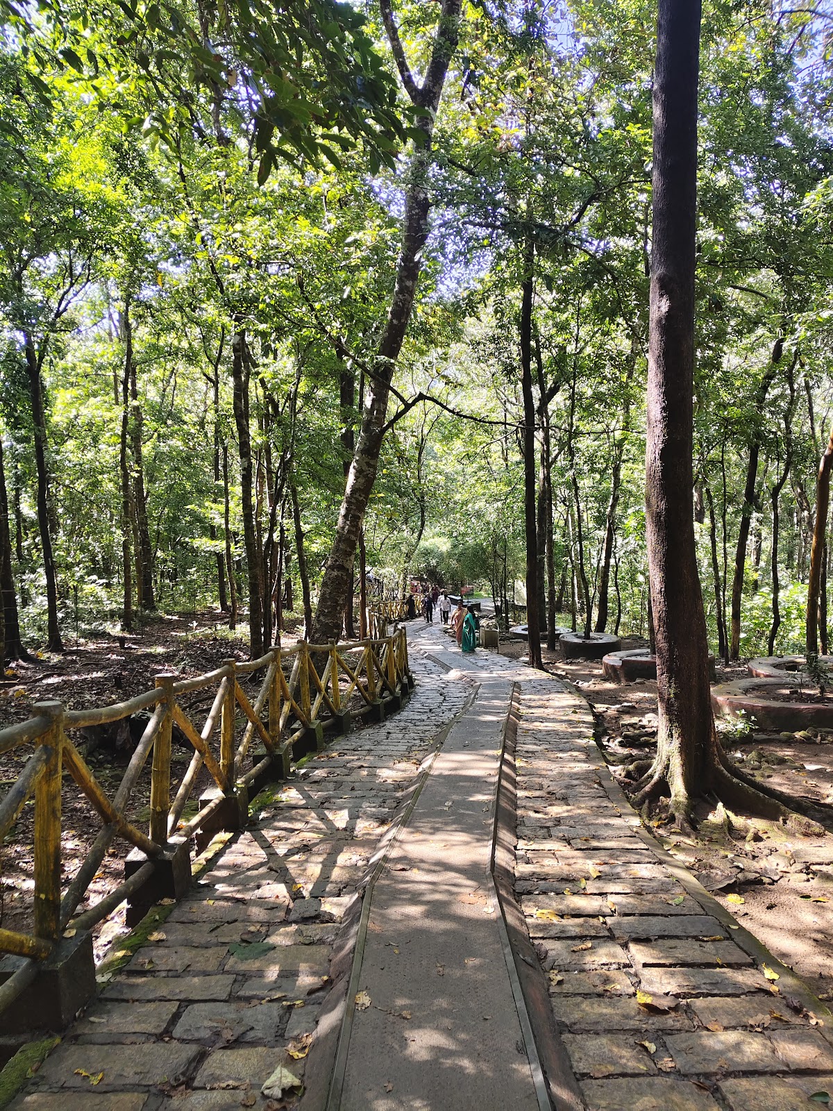 Athirappilly Waterfalls