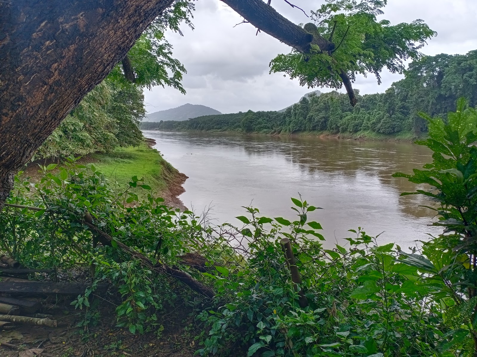 Thattekad Bird Sanctuary