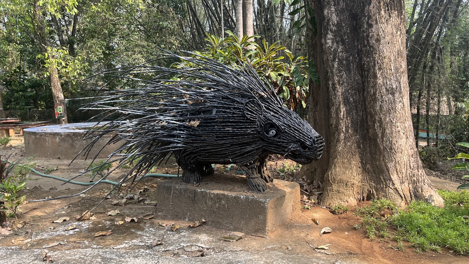 Thattekad Bird Sanctuary