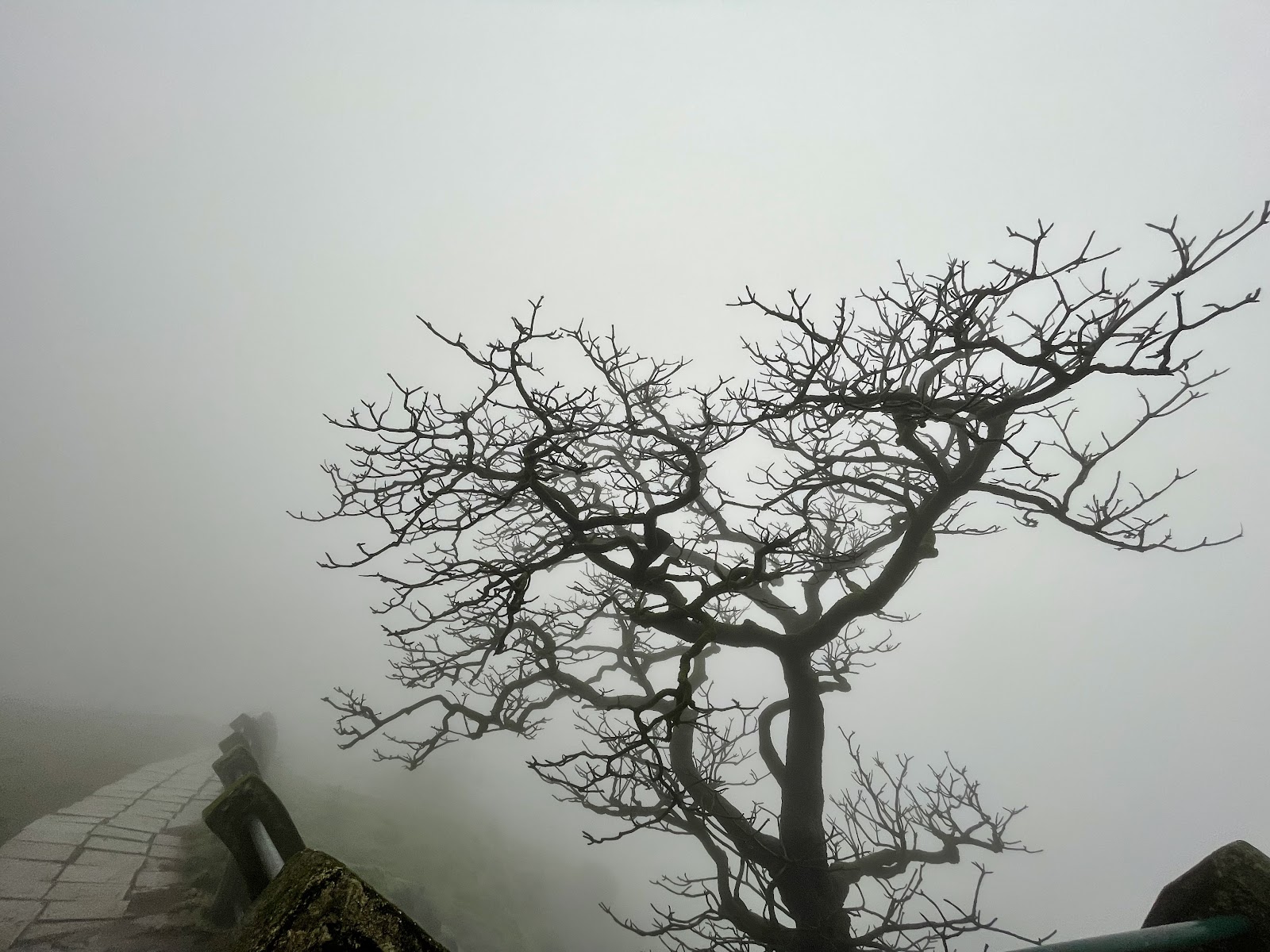 Malshej Ghat Viewpoint