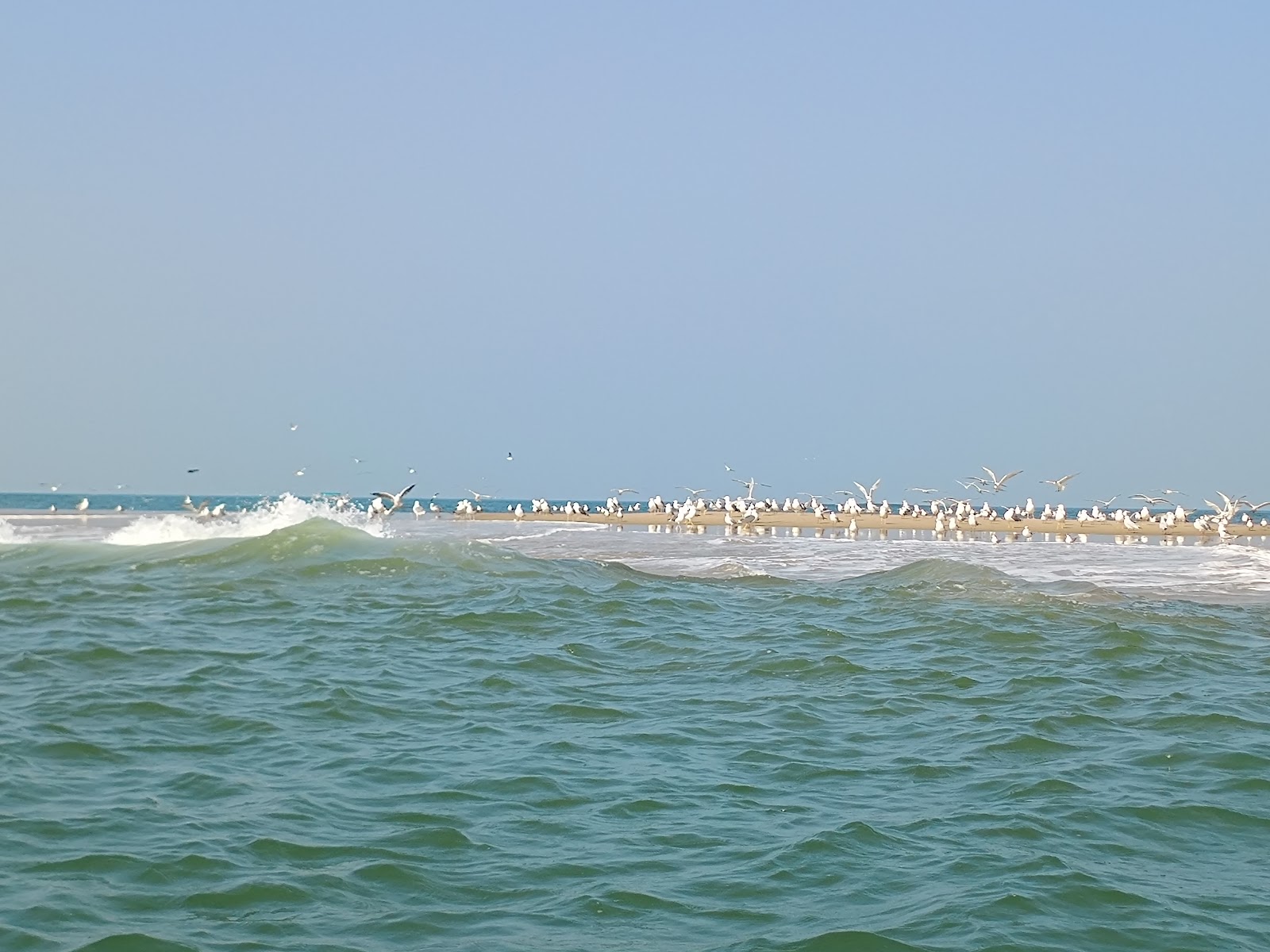 Tarkarli Beach