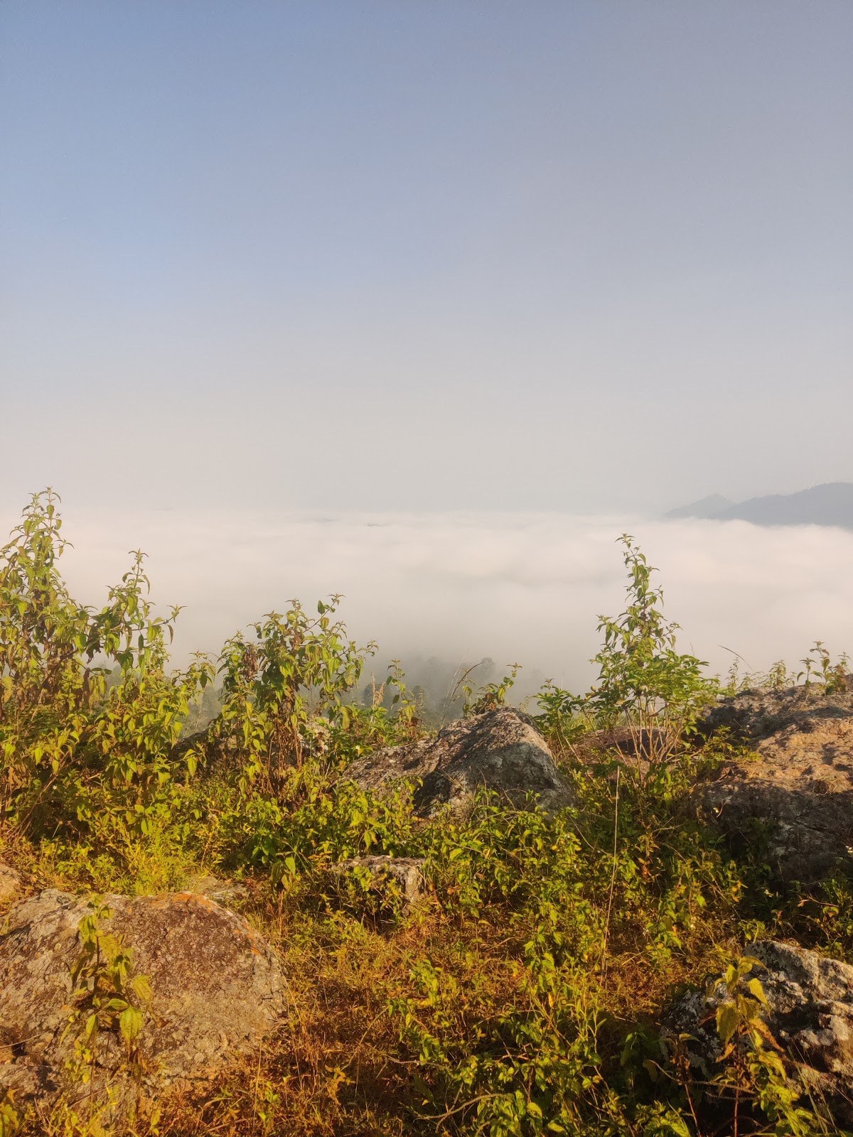 Sunset Ridge Picnic Spot