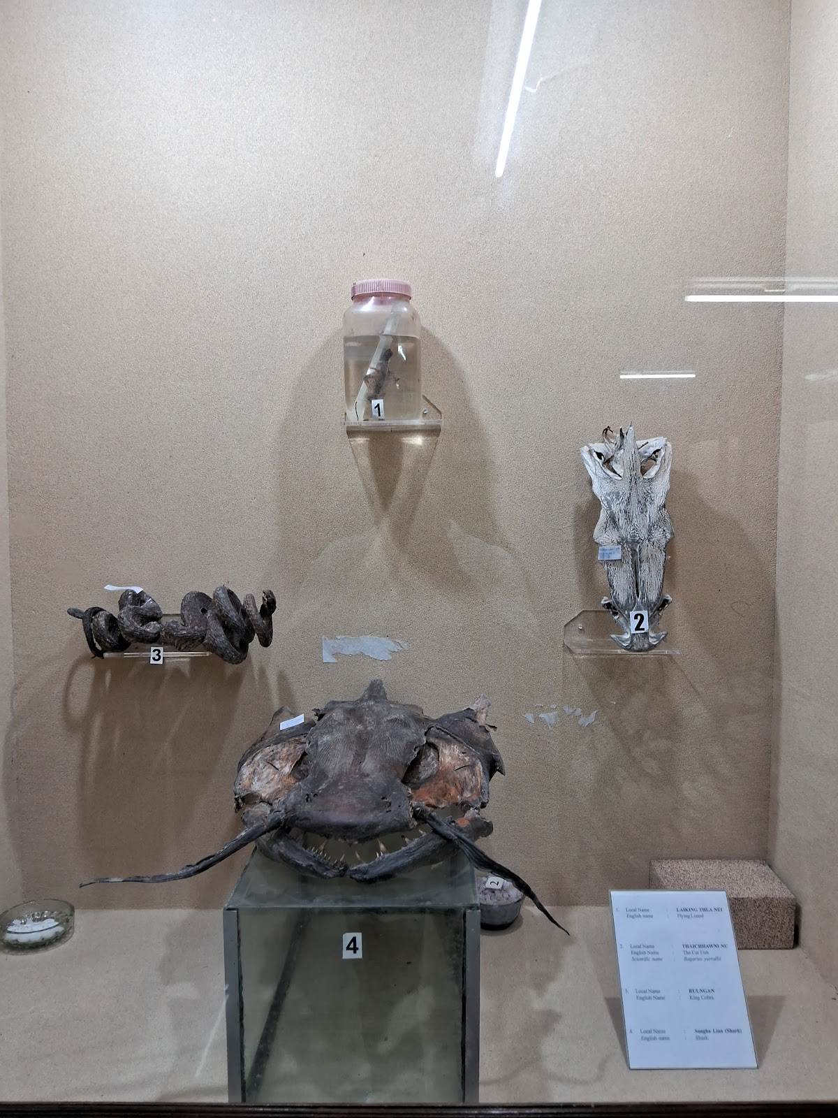 Mamit Cultural Museum