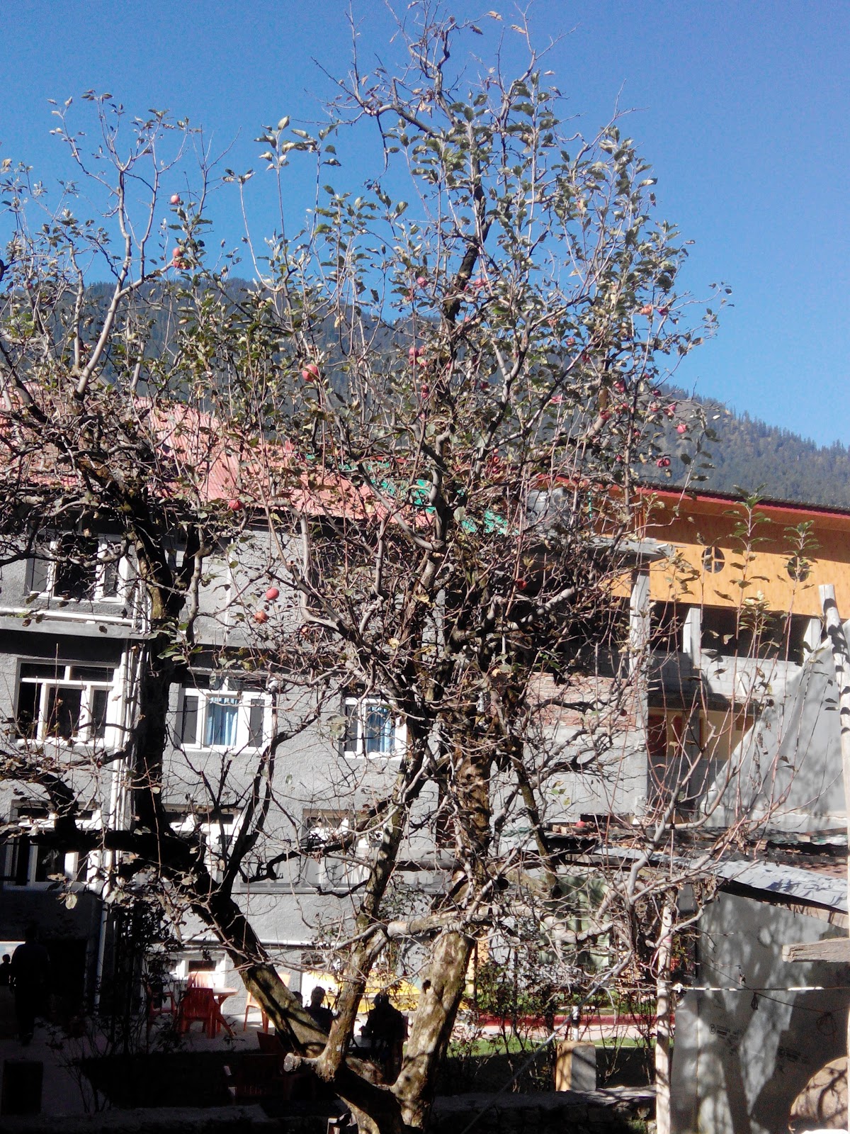Vashisht Village