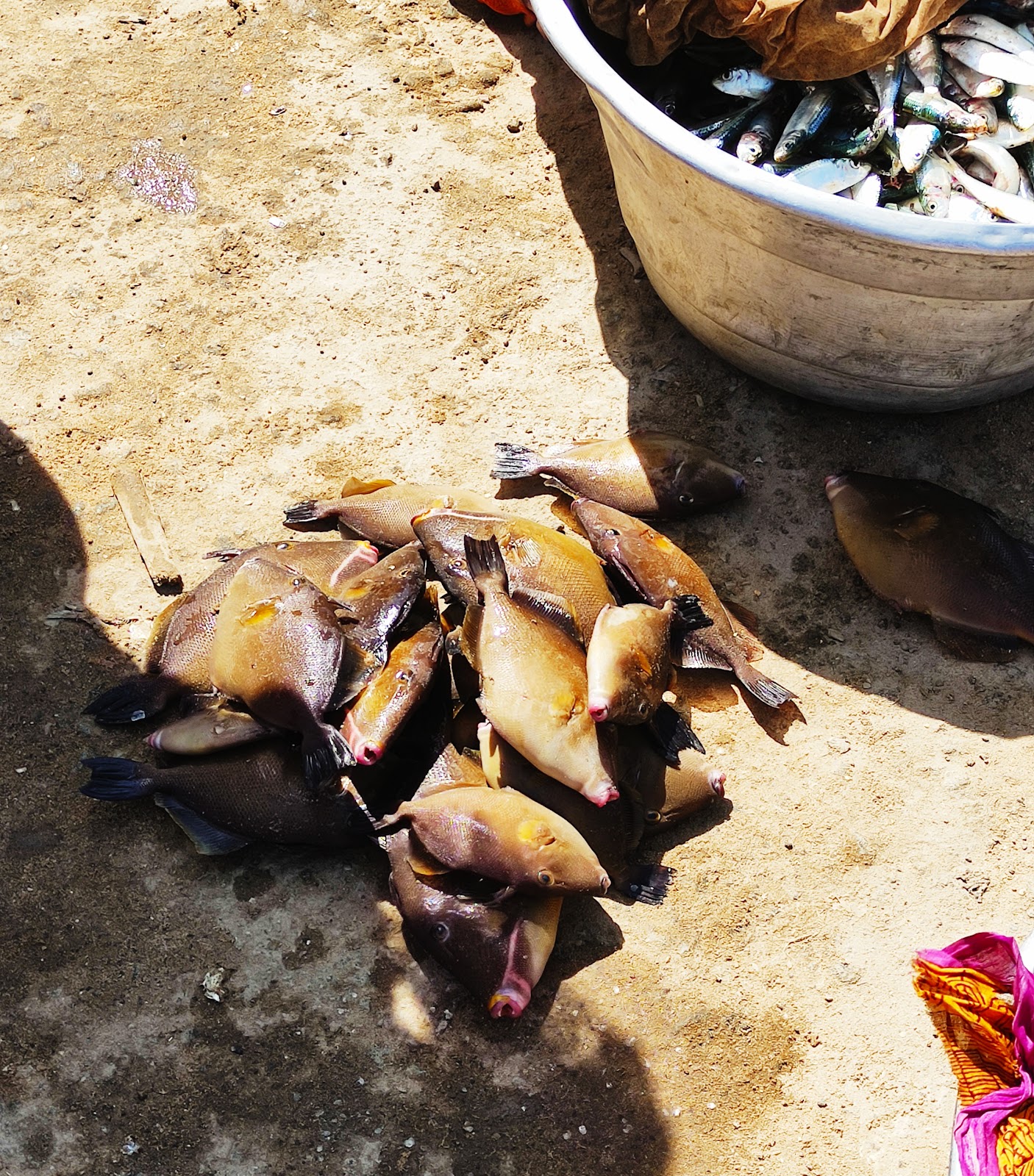 Local Fishing Village