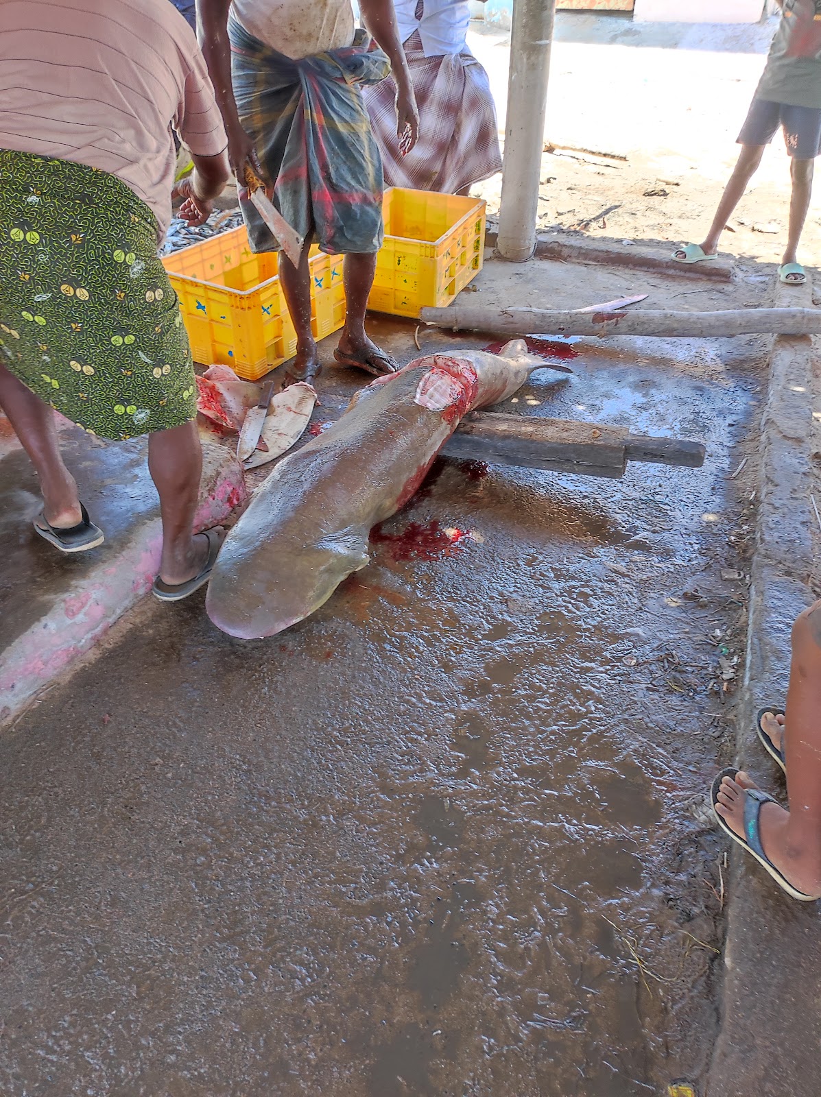 Local Fishing Village