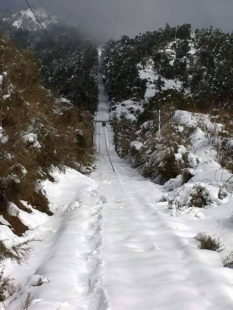 Joginder Nagar Valley viewpoints