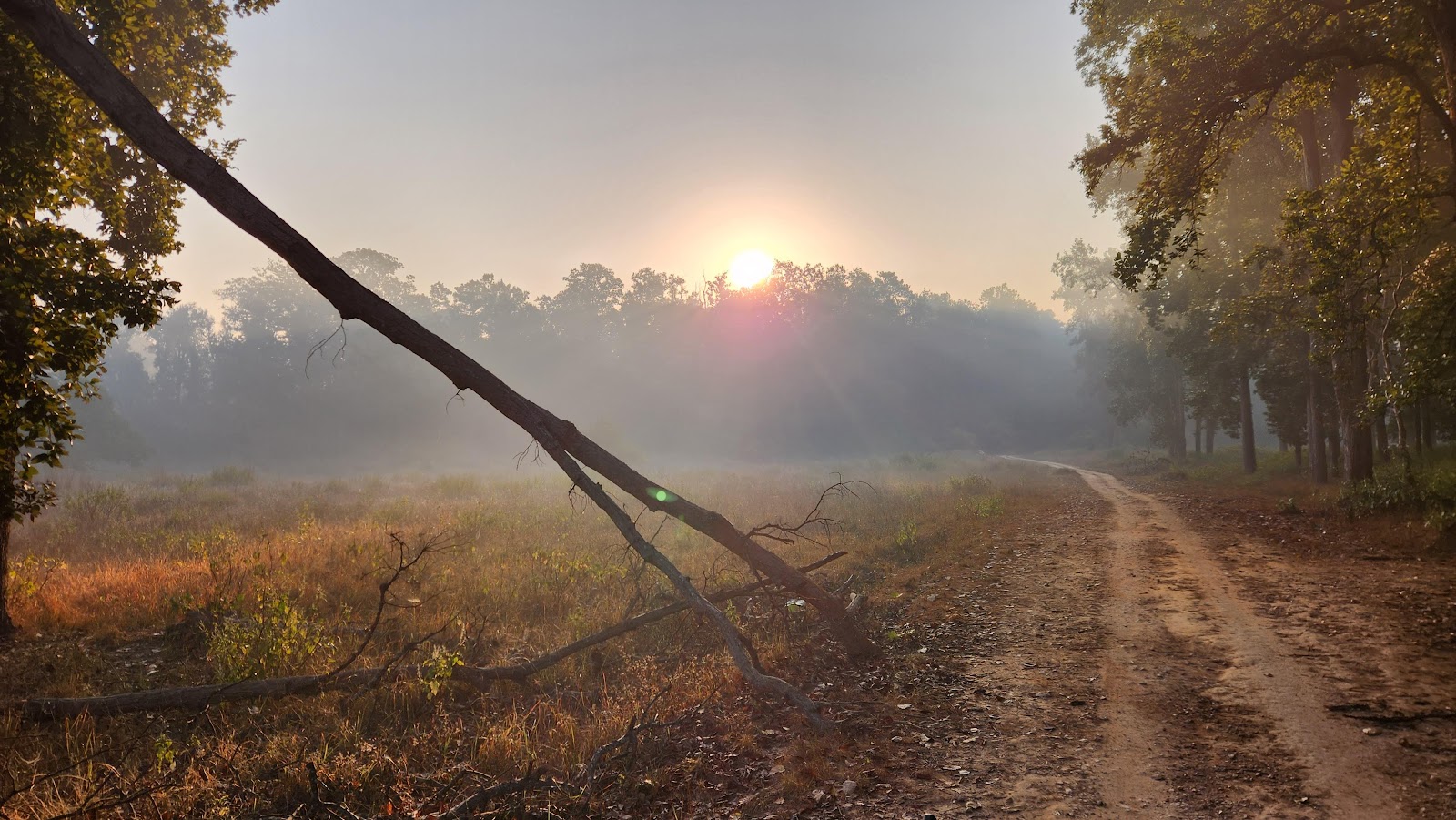 Kanha National Park