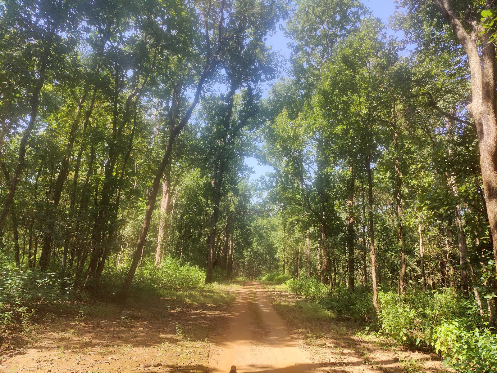 Kanha National Park